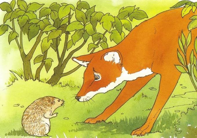 fox_and_sage_hedgehog